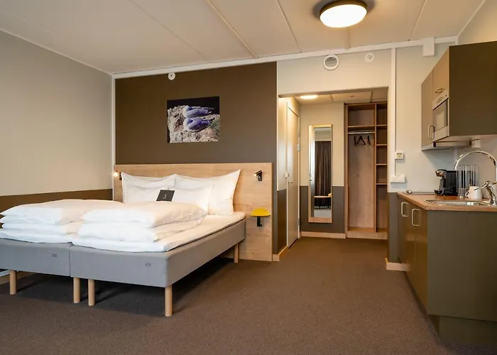 Smarthotel Hotell 3*